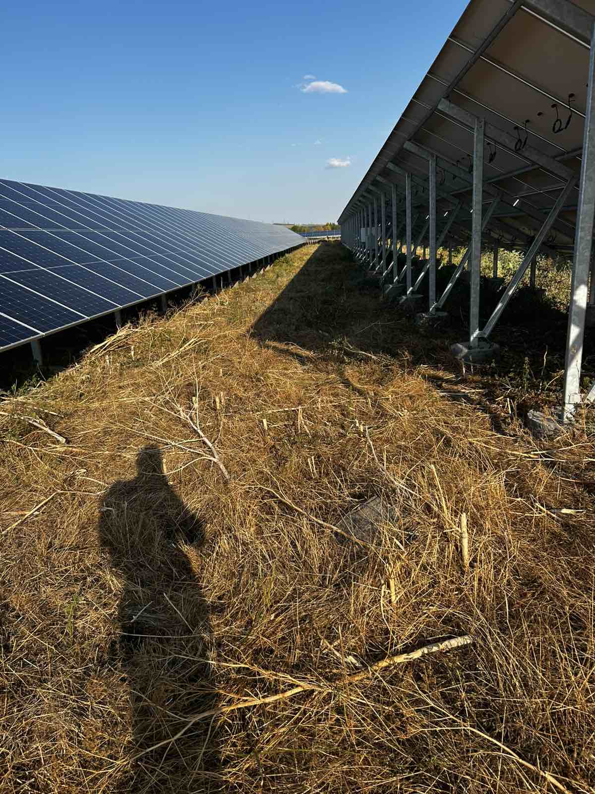 Косене на растителността около ФЕЦ